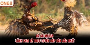 đá gà ws168